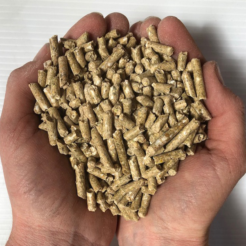 غذای خشک خرگوش و خوکچه هندی مدل پلت با طعم جعفری وزن 1000 گرم