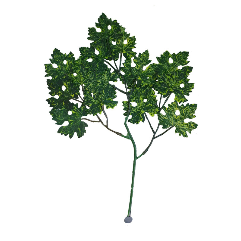 گیاه تزیینی آکواریوم مدل ساکورا