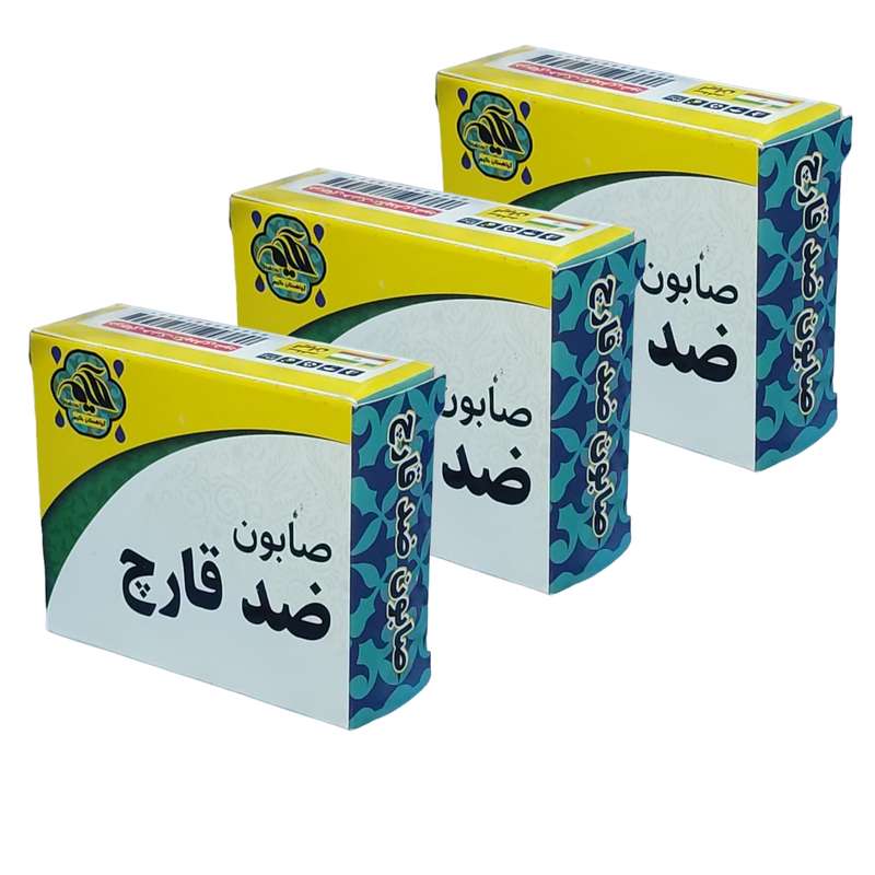 صابون شستشو گیاهستان حکیم مدل ضد قارچ وزن 70 گرم بسته 3 عددی صابون شستشو گیاهستان حکیم مدل ضد قارچ وزن 70 گرم بسته 3 عددی