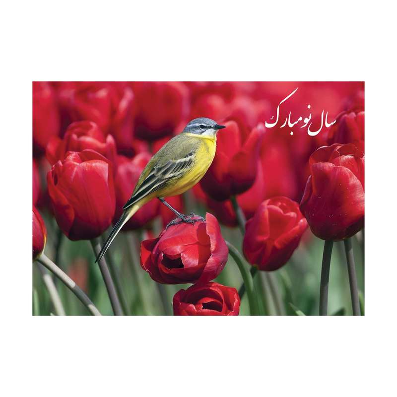 کارت پستال طرح عید نوروز مدل PC1038 بسته 10 عددی