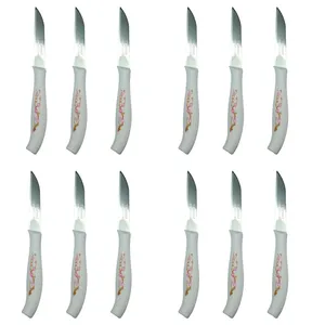 کارد میوه خوری استارمکس کد F1100 بسته 12 عددی