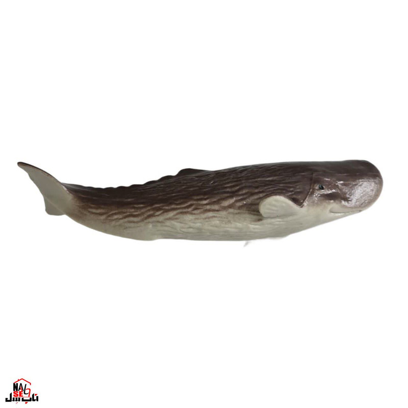 فیگور ناب سل مدل نهنگ کد CACHALOT NAAB039 ارتفاع 3 سانتی متر