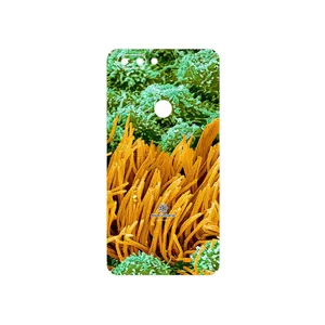 MAHOOT Atom Universe 6 Cover Sticker for Tecno Phantom 8