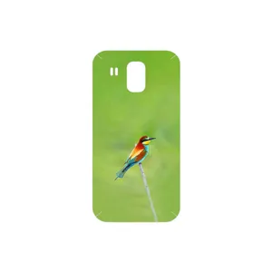 MAHOOT European bee-eater Cover Sticker for Huawei Ascend G525
