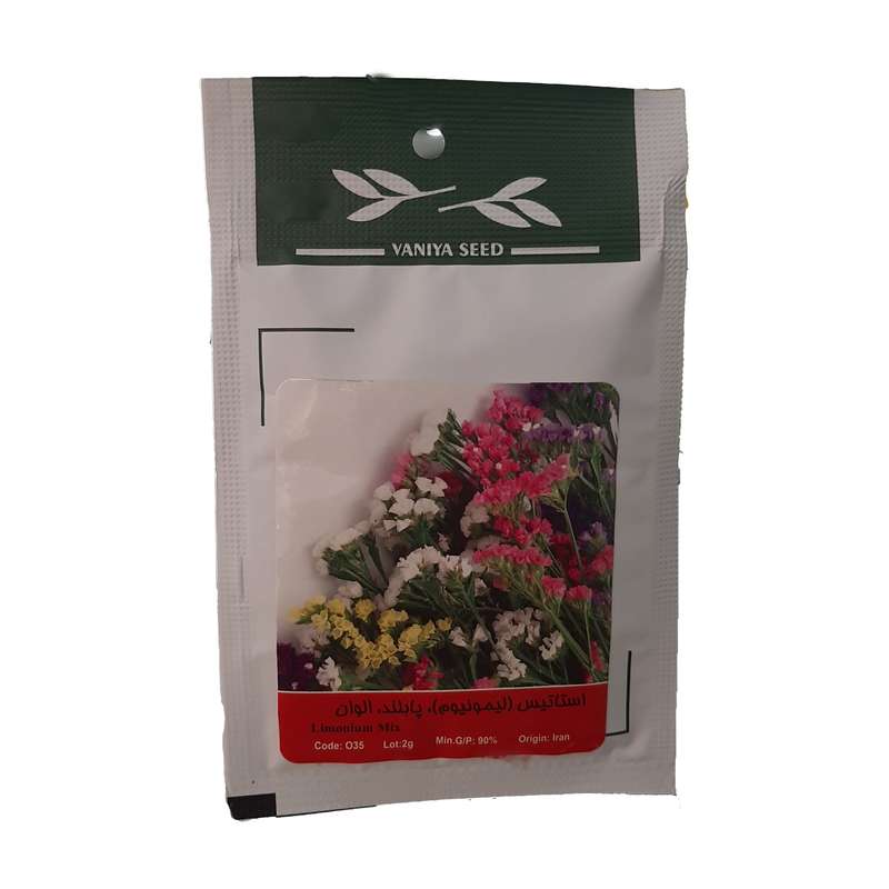 بذر استاتیس لیمونیوم پابلند الوان وانیا سید مدل 035