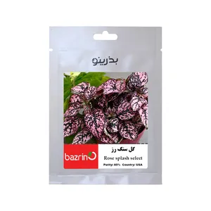بذر گل سنگ رز بذرینو کد BZNO-098