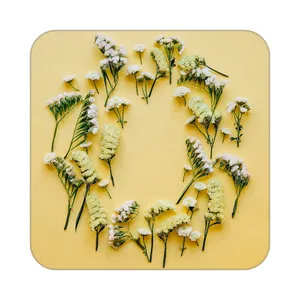 زیر لیوانی کاکتی طرح گل مدل mp17692