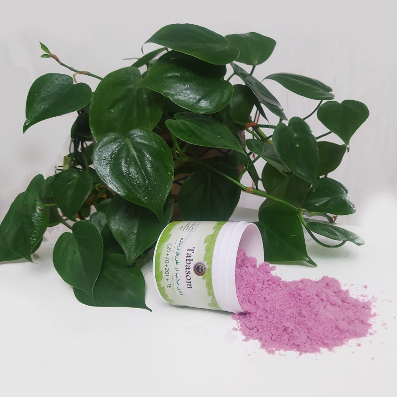 کود تقویتی تبسم کد 20-20-20 وزن 100گرم