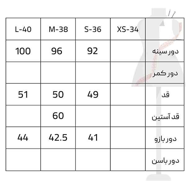 شومیز آستین بلند زنانه سرژه مدل 207356 رنگ مشکی -  - 5