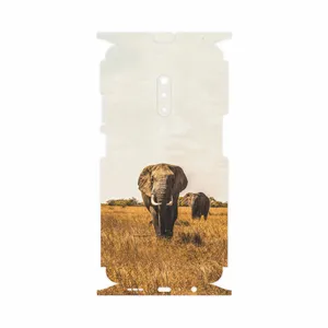 MAHOOT Elephant-FullSkin Cover Sticker for Oppo Realme X