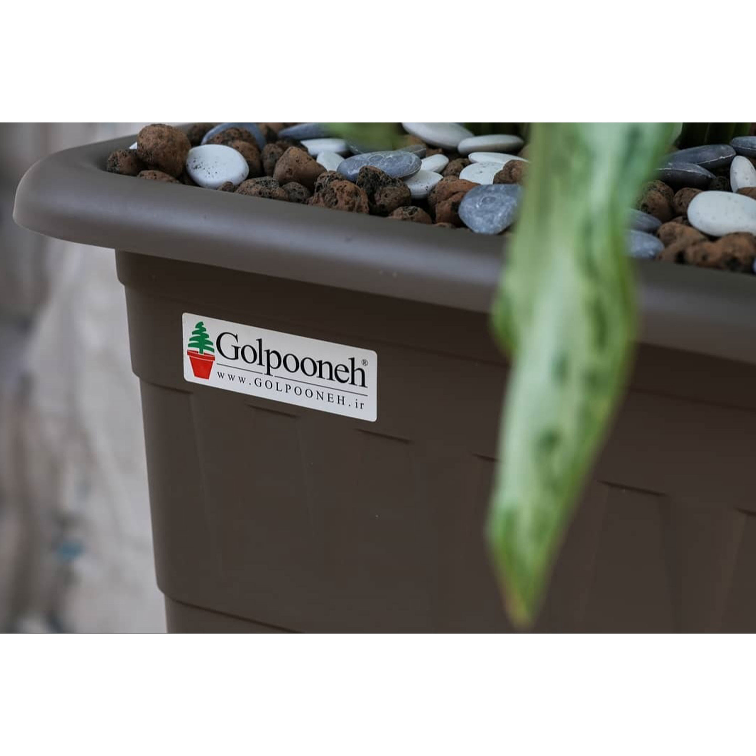 گلدان گلپونه مدل پلاستیکی مربع کد 116