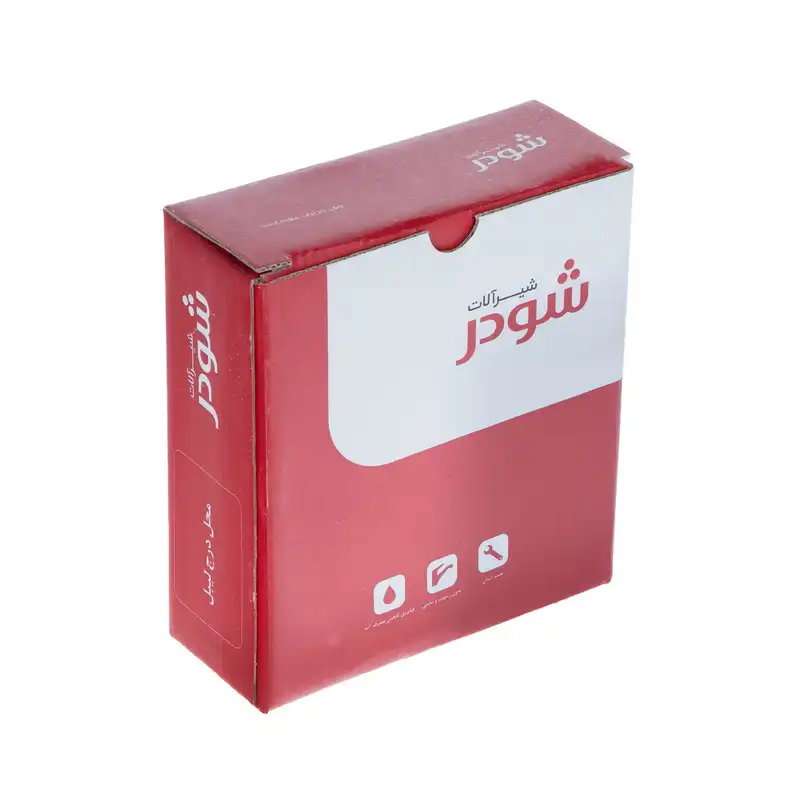 شلنگ توالت شودر مدل لیا کروم