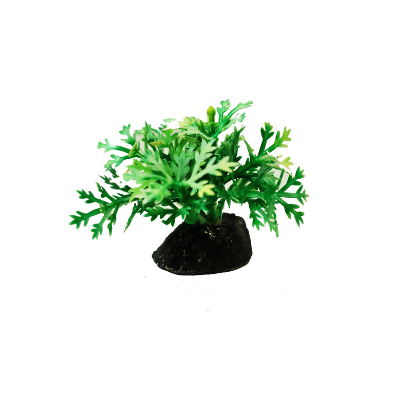 گیاه تزیینی آکواریوم کد VB09 مجموعه 10 عددی