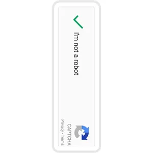 استیکر لپ تاپ طرح im done adulting lets be crazy sloth ladies کد ST963