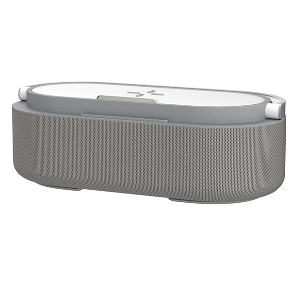 اسپیکر بلوتوثی مدل DX-W100