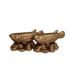 مجسمه مدل ماهی آرووانا مجموعه دوعددی 