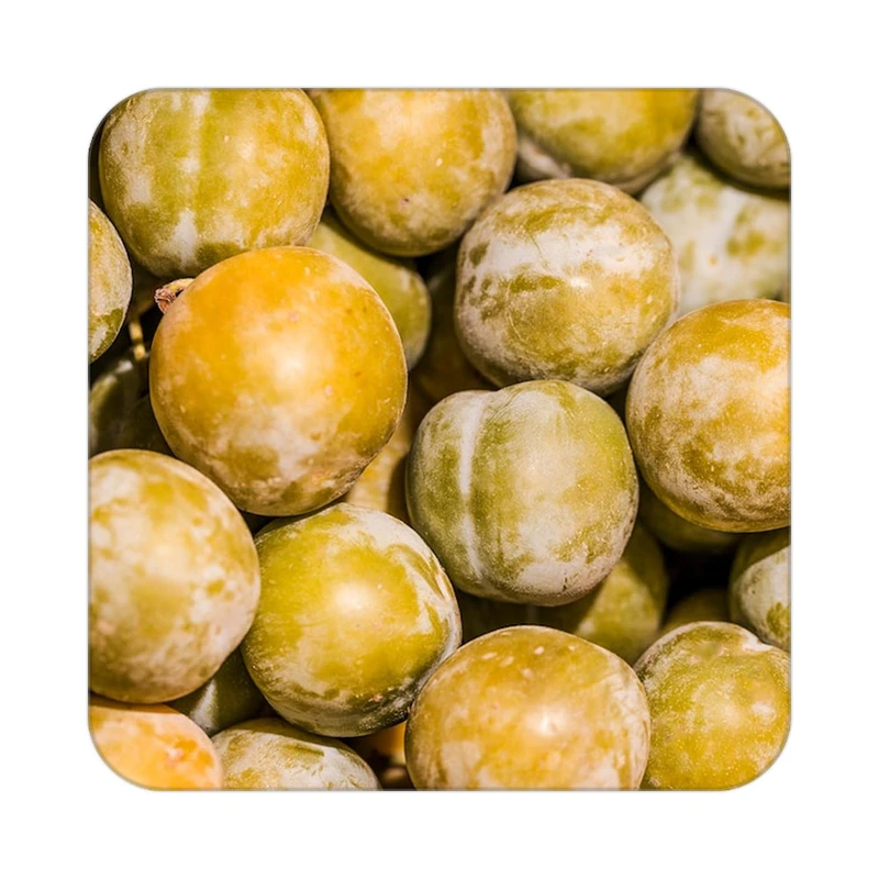 زیر لیوانی کاکتی طرح میوه مدل mp20841