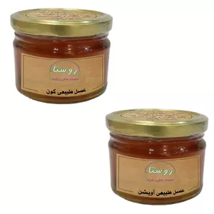 عسل طبیعی آویشن و گون روستا - 350گرم بسته دو عددی
