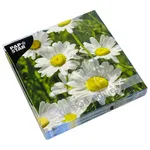 دستمال سفره پپ ستار مدل DEdition کد 82792 بسته 20 عددی