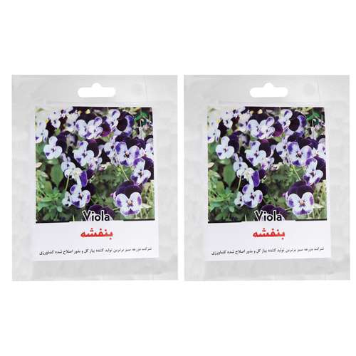 بذر گل بنفشه بنفش گرین فارم مدل 03 بسته 2 عددی