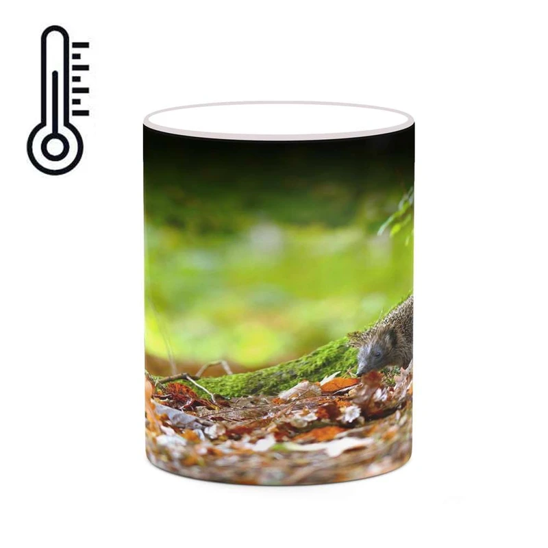 ماگ حرارتی کاکتی مدل منظره پاییزی کد mgh18589