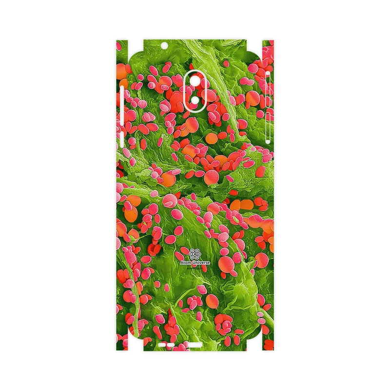 برچسب پوششی ماهوت مدل Atom Universe 3-FullSkin مناسب برای گوشی موبایل نوکیا 3.1