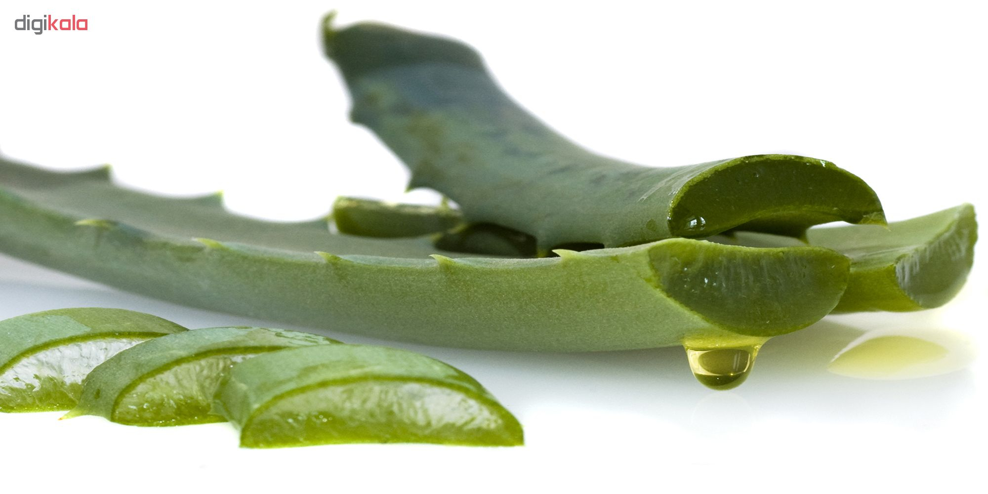 کرم مرطوب کننده داما مدل DS-109 حجم 75 میلی لیتر