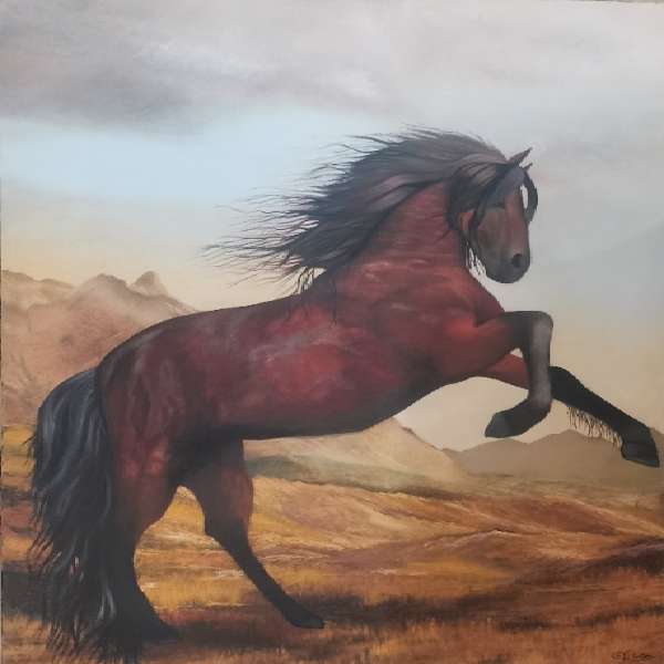 تابلو رنگ روغن کد 5