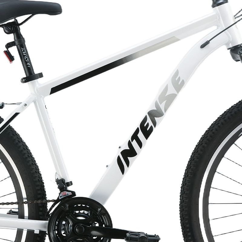 دوچرخه اینتنس مدل Wild Rider سایز 20 کد 2343