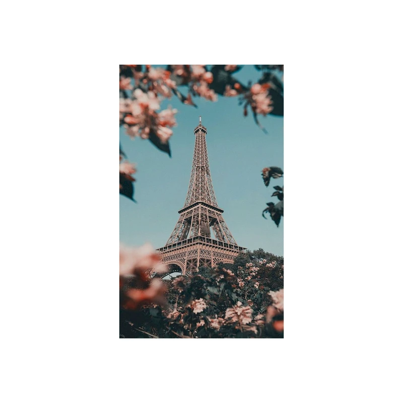تابلو شاسی مدل برج ایفل و گل T7299