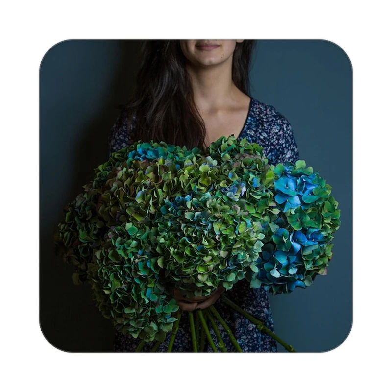 زیر لیوانی کاکتی طرح گل مدل mp19744