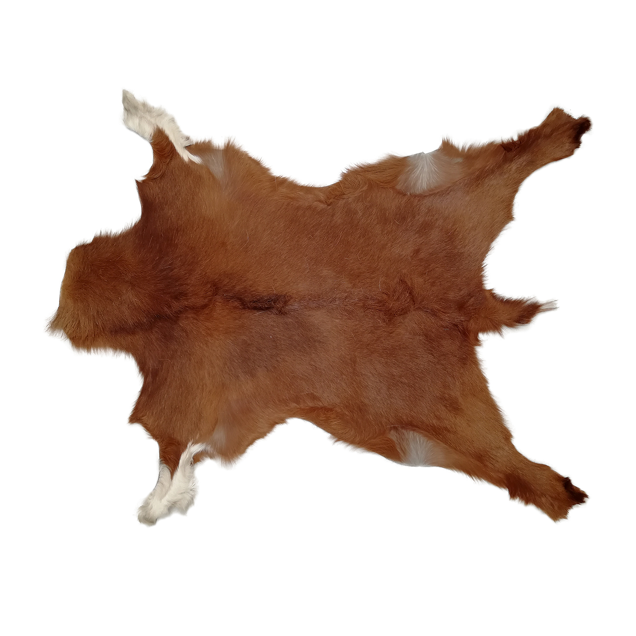 فرش پوست و چرم کمالی مدل AC-00513