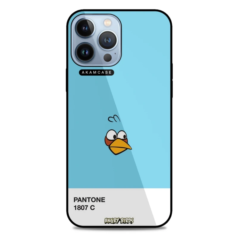 کاور آکام مدل AMC-WA13PROMAX-ANGRY BIRDS10 مناسب برای گوشی موبایل اپل iPhone 13 Pro Max