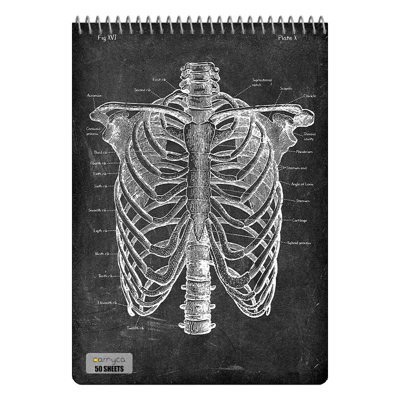 دفتر نقاشی 50 برگ سیمی کارنیکا طرح روزنامه وینتج آناتومی بدن Vintage Newspaper Anatomy کد 41840