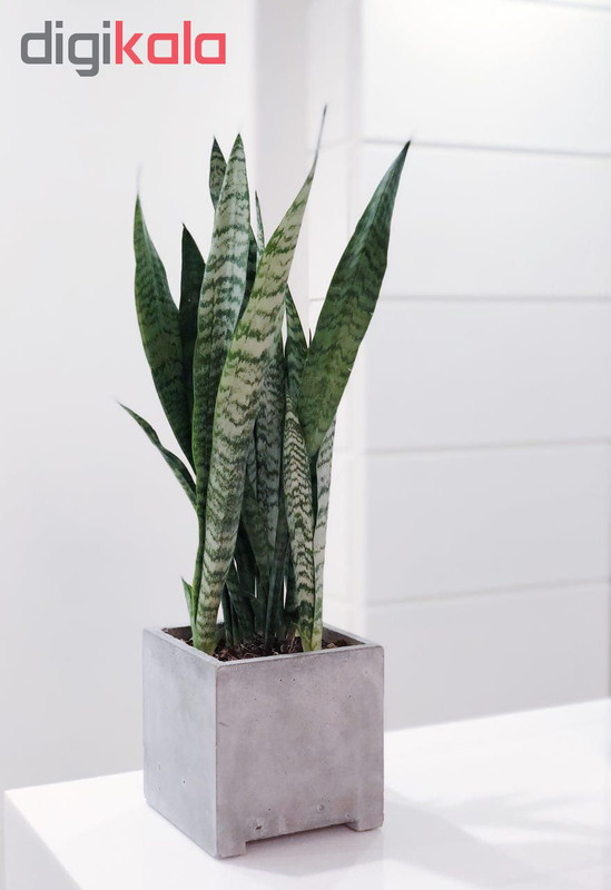 گلدان طرح کوبیک گلدان طرح کوبیک