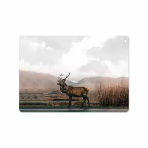 MAHOOT Horned Deer Cover Sticker for Apple iPad 9.7 GEN 5 2017 A1823
