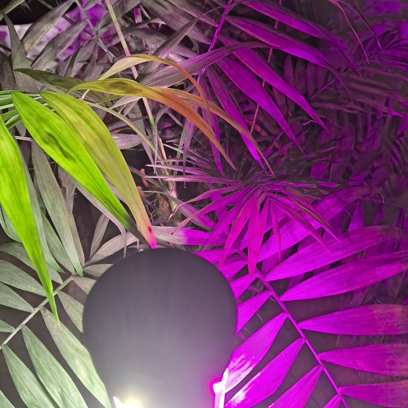 لامپ رشد گیاه 20 وات لایت میژن مدل پایه دار mini sun war 20