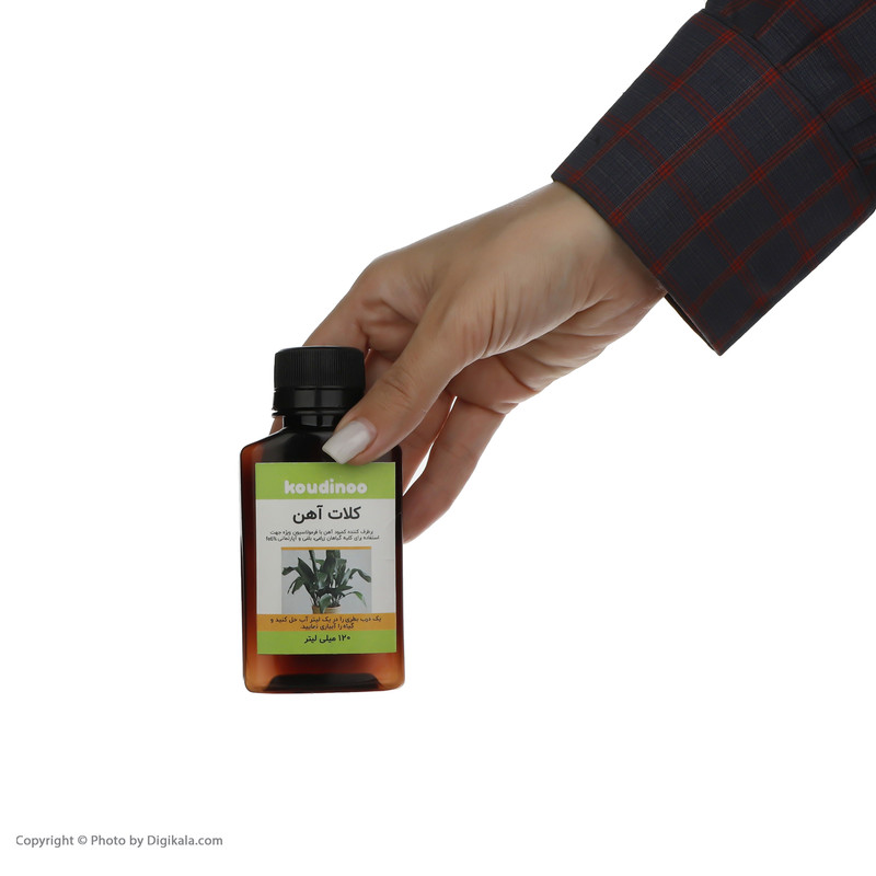 کود مایع کلات آهن کودینو مدل K-15 حجم 120 میلی لیتر کود مایع کلات آهن کودینو مدل K-15 حجم 120 میلی لیتر