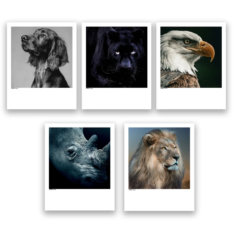 آویز تزیینی عرش مدل فانتزی حیوانات کد Asa716 مجموعه پنج عددی