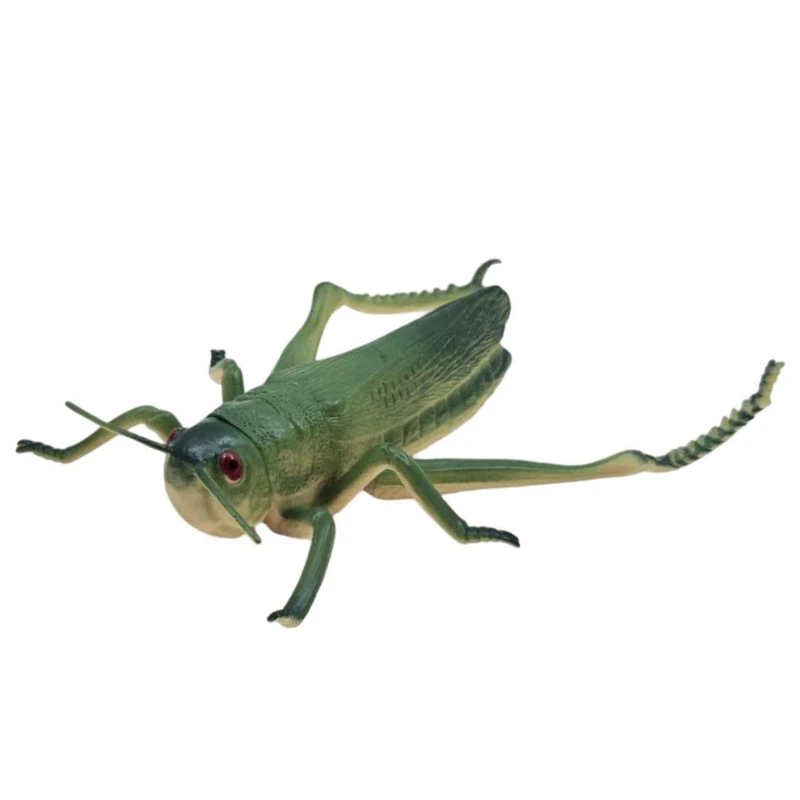 فیگور ناب سل مدل ملخ آفریقایی کد AFRICAN LOCUST NAAB006 ارتفاع 5 سانتی‌متر