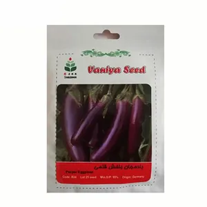 بذر بادمجان بنفش قلمی وانیا سید کد b34