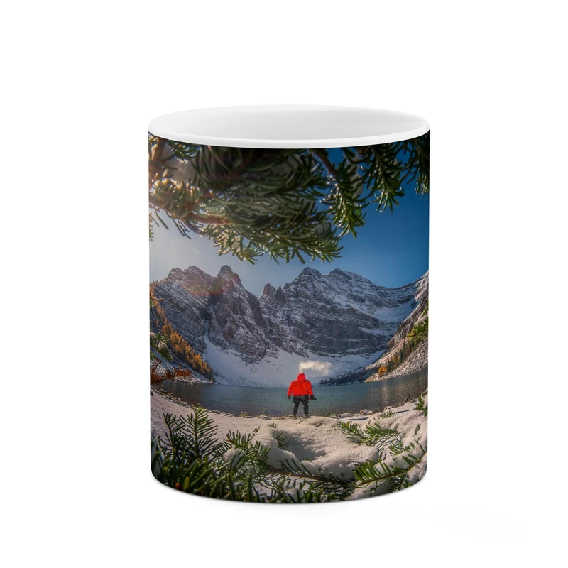 ماگ کاکتی مدل منظره کد mgh17440