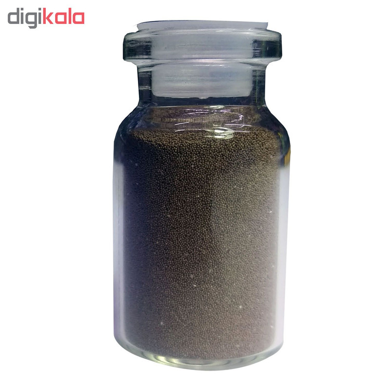 سیست آرتمیا مدل A007 وزن 5 گرم