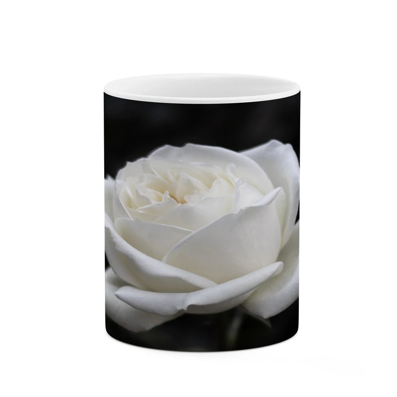 ماگ کاکتی مدل گل کد mgh17108