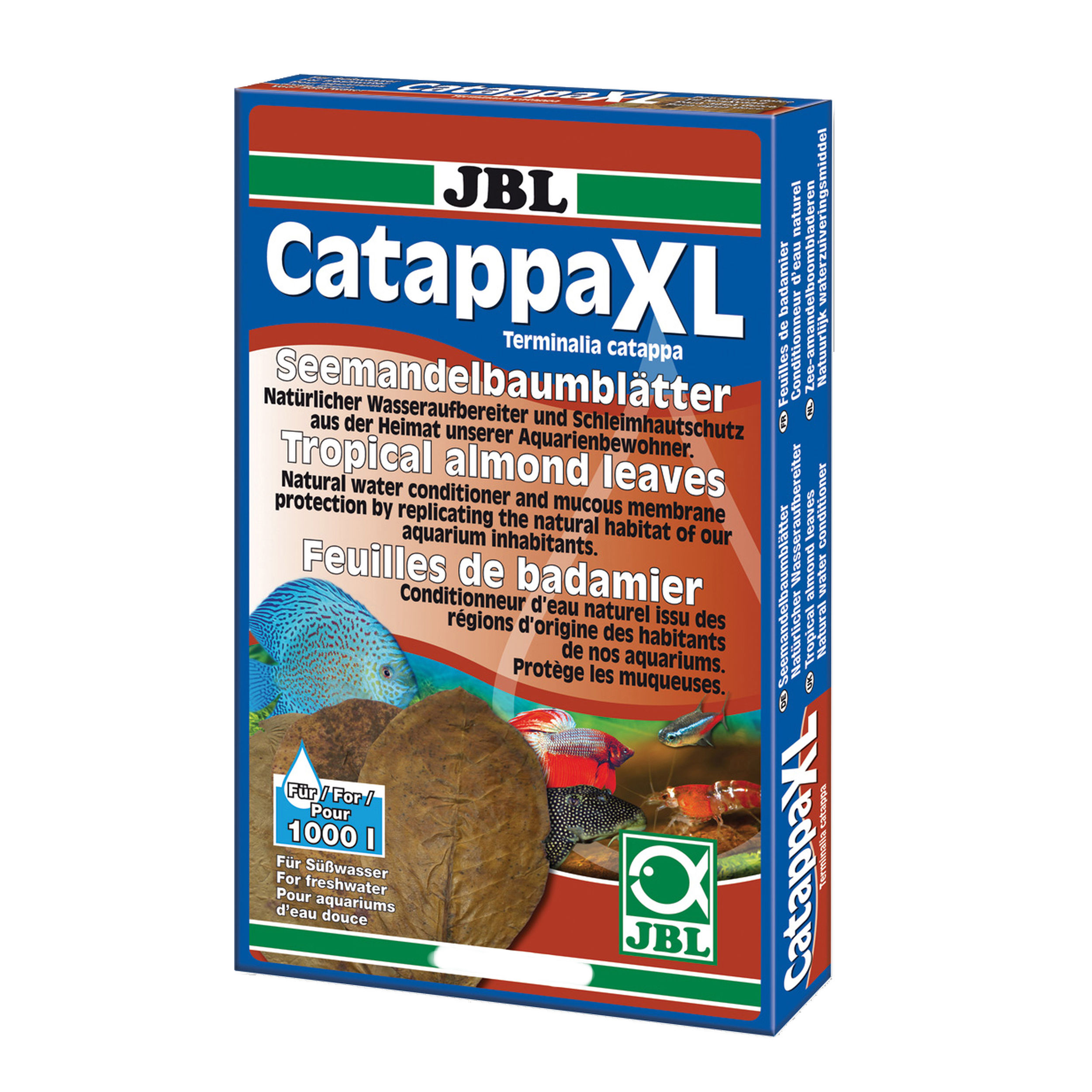 برگ درخت بادام هندی جی بی ال مدل catappa XL  بسته 10 عددی