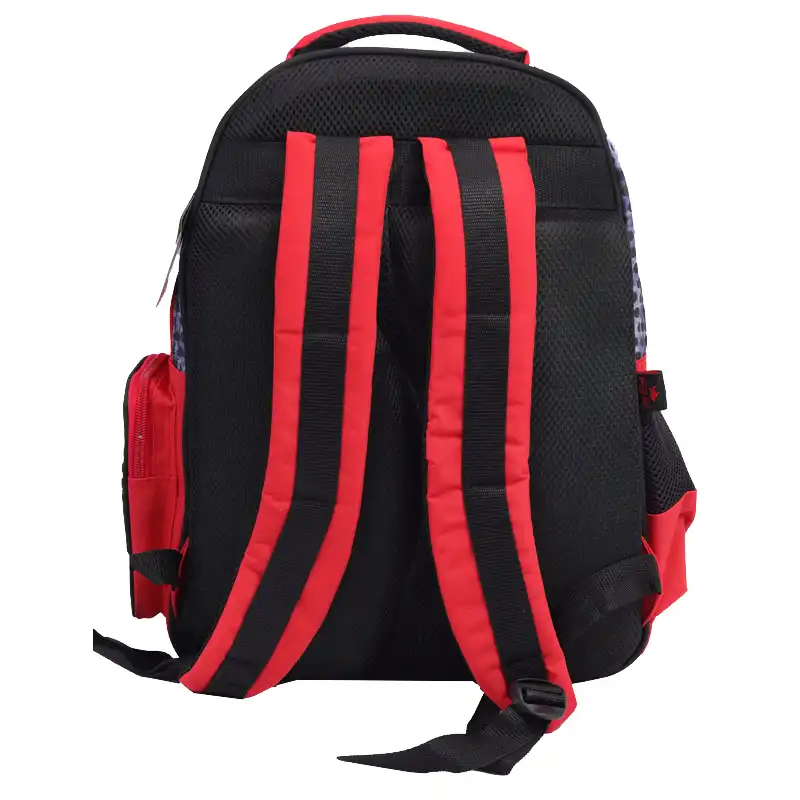 کوله پشتی گلسی برد مدل GB2266 به همراه کیف غذا و جامدادی