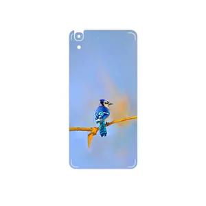 MAHOOT Cyanocitta cristata Cover Sticker for Huawei Y6 2015