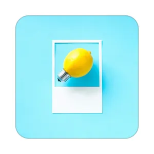 زیر لیوانی کاکتی طرح میوه مدل mp21503