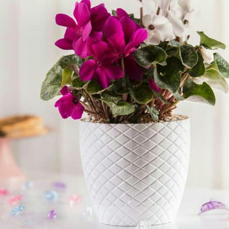گلدان مدل آناناسی کد 15