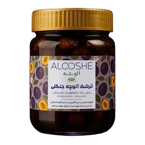 ترشک آلوچه جنگلی آلوشه - 500 گرم